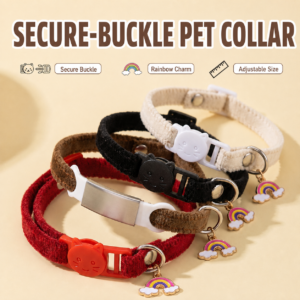 Personalized Breakaway Pet Collar with Rainbow Charm