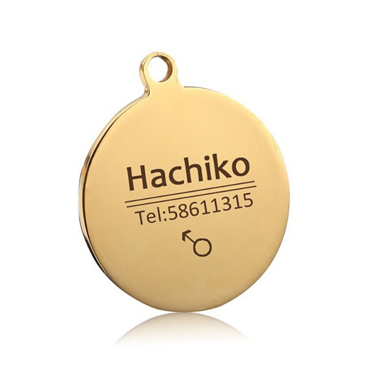 Personalized Stainless Steel Pet ID Tag